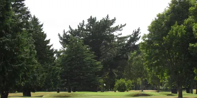 Club image Palmerston North Golf Club