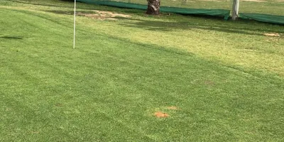 Club image Greenlands Golf