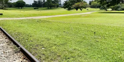 Club image Royal Colombo Golf Club
