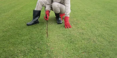 Club image Dalat Palace Golf Club