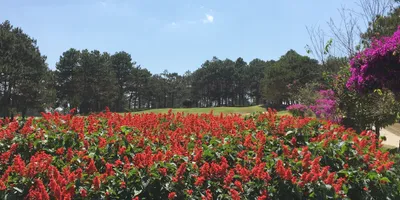 Club image Dalat Palace Golf Club