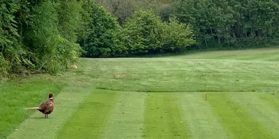 Club image Abridge Golf & Country Club
