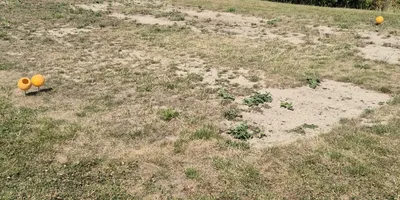 Club image Golfplatz Schloss Ranzow