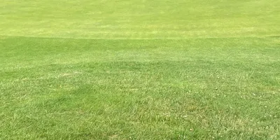 Club image Theydon Bois Golf Club