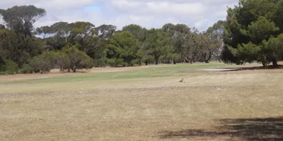 Club image Kingscote Golf Club