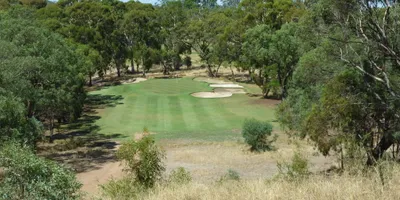Club image Tanunda Pines Golf Club