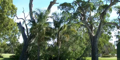 Club image Willunga Golf Club
