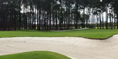 Club image Sanctuary Cove Golf and Country Club - The Pines