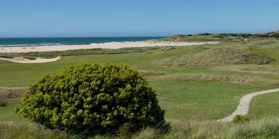 Club image Barnbougle Golf - Tasmania