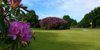 Club image The Dorset Golf Resort