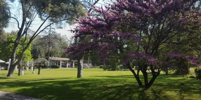 Club image Golf Club Andino