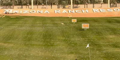 Club image Arizona Golf Resort