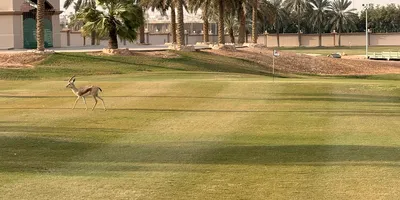 Club image Arizona Golf Resort