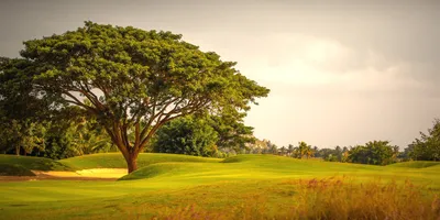 Club image Prestige Golfshire Club