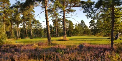 Club image Bjärkas Golf
