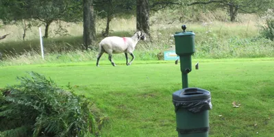 Club image Keswick Golf Club
