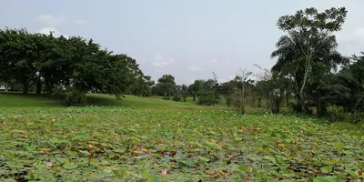 Club image Golf Club de Libreville