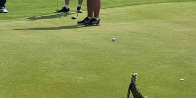 Club image TPC Cartagena