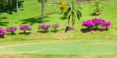 Club image Club Campestre de Armenia