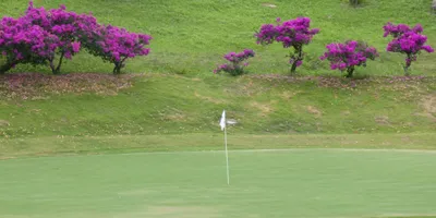 Club image Club Campestre de Armenia