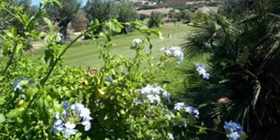 Club image Botanic Golf Sacuba