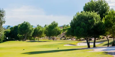 Club image Altaona Golf & Country Village