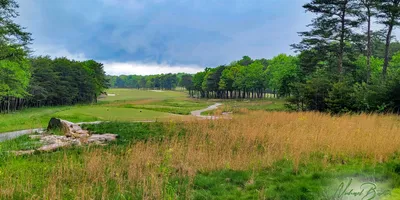 Club image McLemore Club