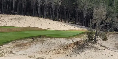 Club image Te Arai Links