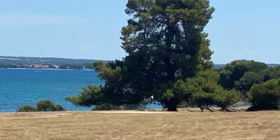 Club image Brijuni Golf Course