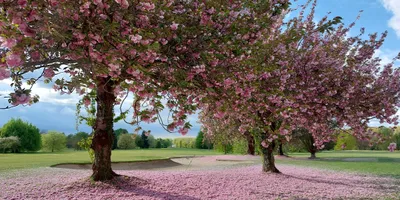 Club image Golfclub Kampenhout