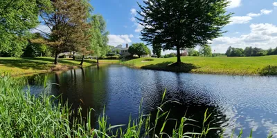 Club image Best Golf