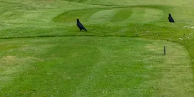 Club image Golf du Château de la Bawette