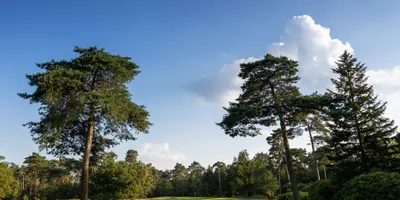 Club image Hooge Graven Golfclub Ommen