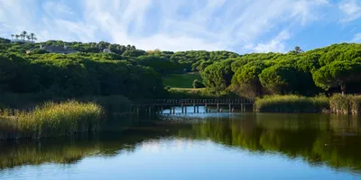 Club image Almenara Golf