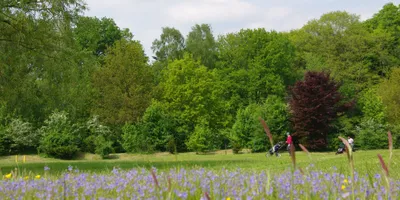 Club image Golfclub De Breuninkhof
