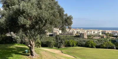Club image La Duquesa Golf & Country Club