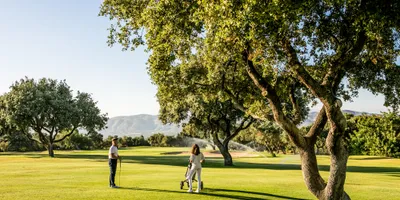 Club image Lauro Golf