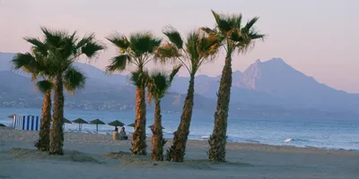 Club image Alicante Golf