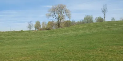 Club image De Zeeuwsche Middelburg