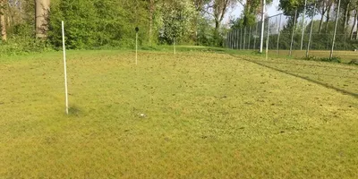 Club image DSV Concordia Golf