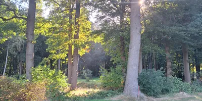Club image Oldenburgischer Golf Club