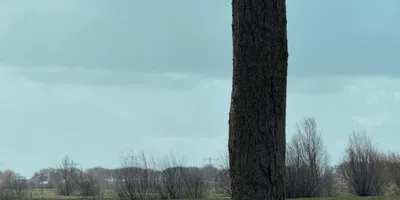 Club image Old Course Loenen