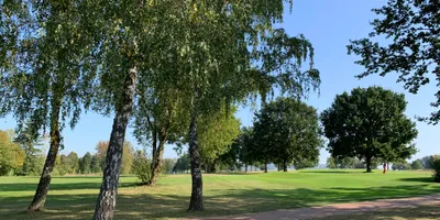 Club image Lippischer Golfclub