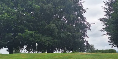 Club image Golf und Country Club Leinetal Einbeck e.V.