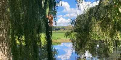 Club image Nampont St Martin Golf Club
