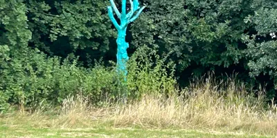 Club image Golf Club Mettmann e.V.