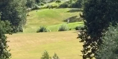 Club image Golf Club Castrop-Rauxel e.V. in Frohlinde