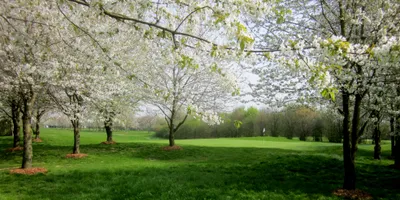 Club image Mühlenhof Golf & Country Club