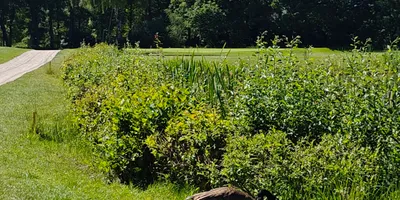 Club image Golf Course Bonn - St. Augustin