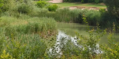 Club image Mainzer Golfclub
